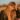 Grace Potter