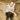 Daniel Seavey
